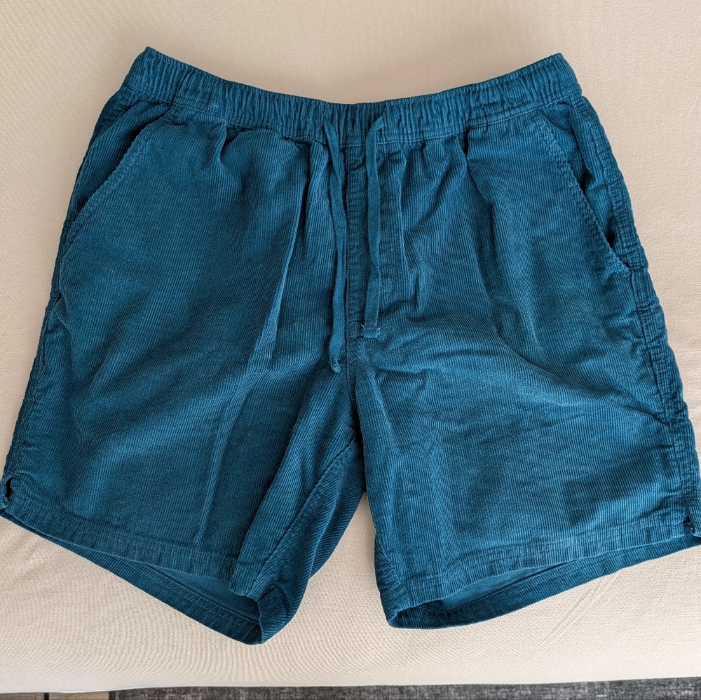 Sun Diego Teal Corduroy Shorts